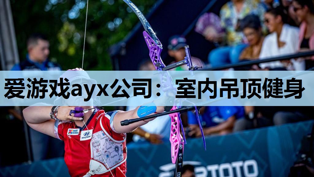 爱游戏ayx公司：室内吊顶健身