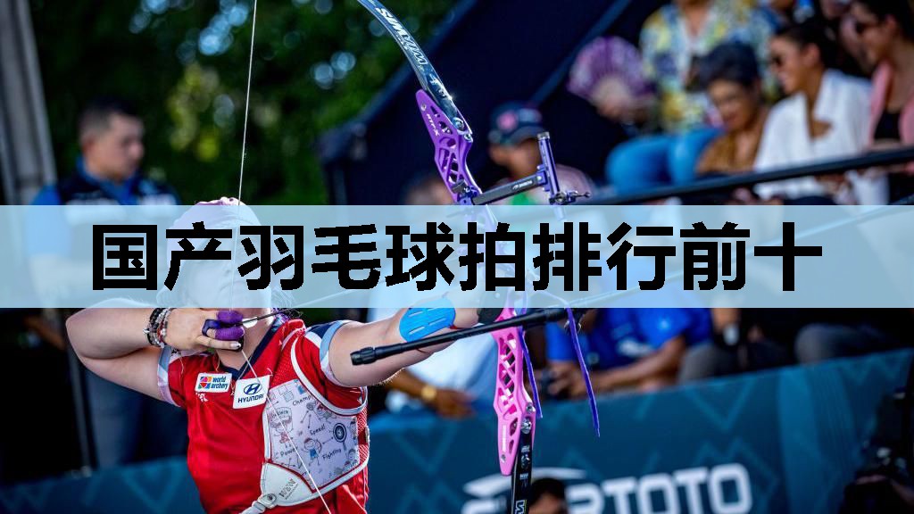 国产羽毛球拍排行前十