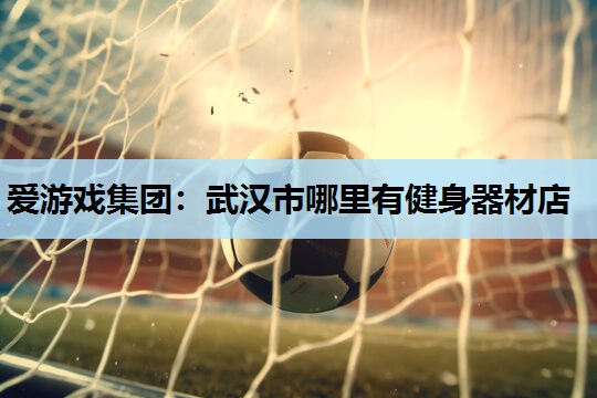 爱游戏集团：武汉市哪里有健身器材店