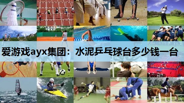 爱游戏ayx集团：水泥乒乓球台多少钱一台