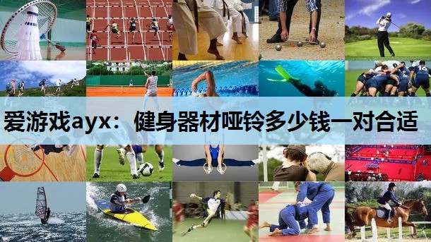 爱游戏ayx：健身器材哑铃多少钱一对合适