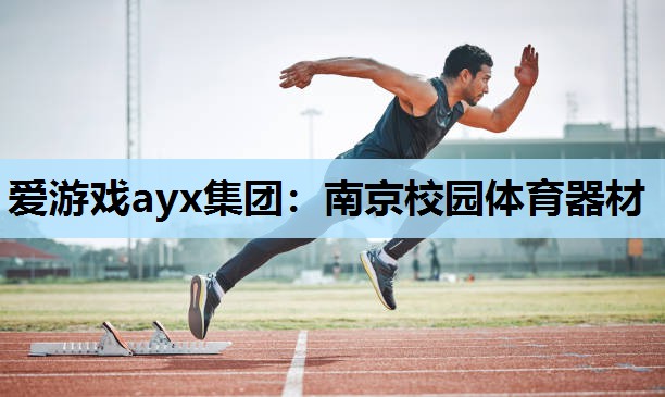 爱游戏ayx集团：南京校园体育器材