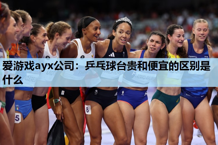 爱游戏ayx公司：乒乓球台贵和便宜的区别是什么