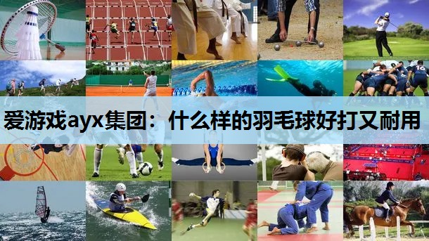 爱游戏ayx集团：什么样的羽毛球好打又耐用