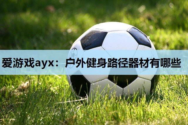 爱游戏ayx：户外健身路径器材有哪些