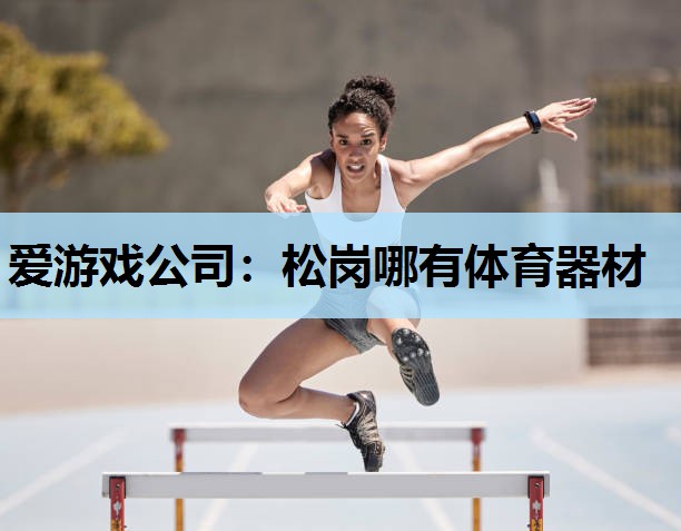 爱游戏公司：松岗哪有体育器材