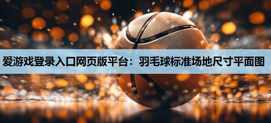 爱游戏登录入口网页版平台：羽毛球标准场地尺寸平面图