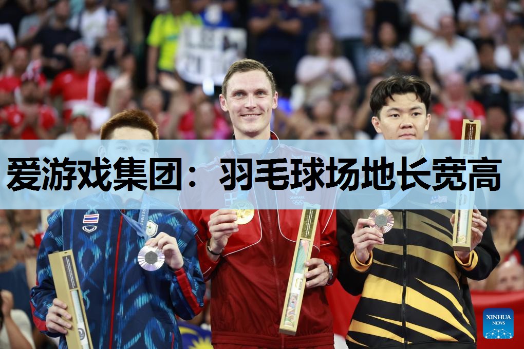爱游戏集团：羽毛球场地长宽高