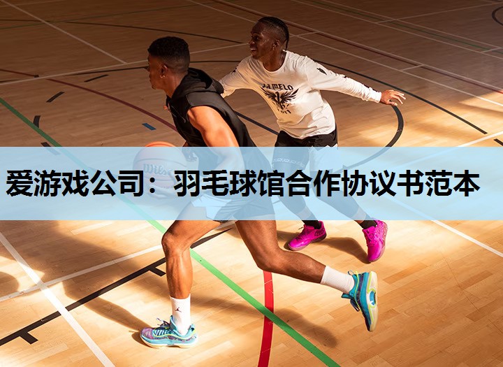 爱游戏公司：羽毛球馆合作协议书范本