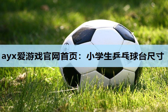 小学生乒乓球台尺寸 小学生乒乓球台尺寸