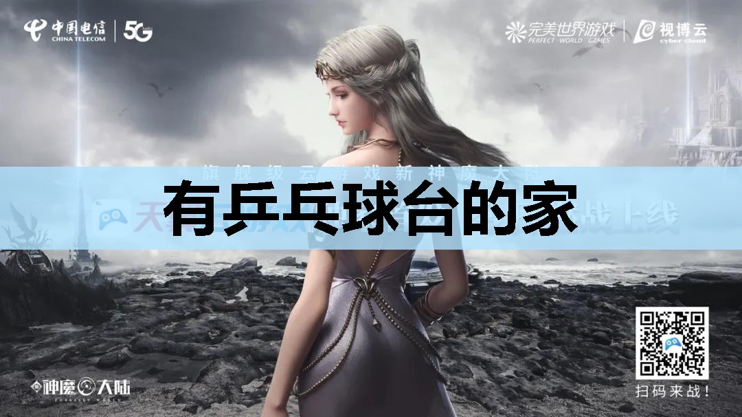 有乒乓球台的家 有乒乓球台的家