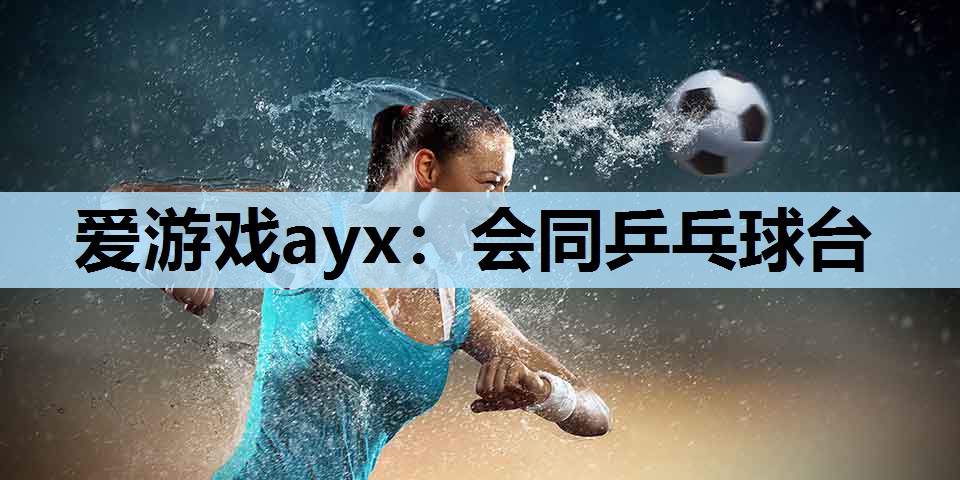 会同乒乓球台 会同乒乓球台