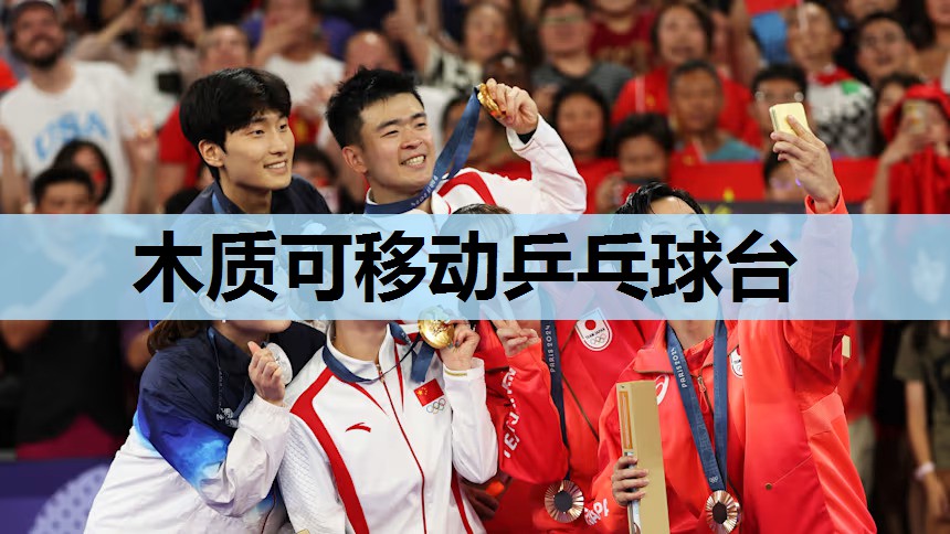木质可移动乒乓球台 木质可移动乒乓球台