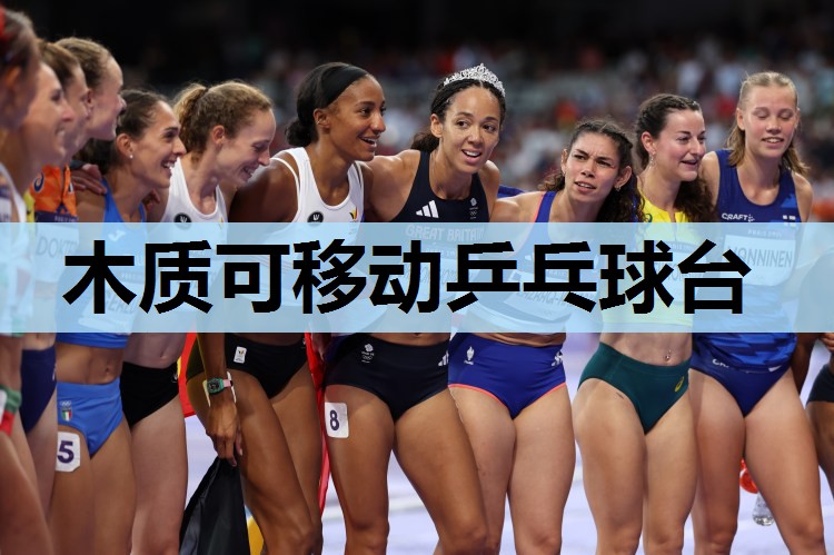 木质可移动乒乓球台 木质可移动乒乓球台