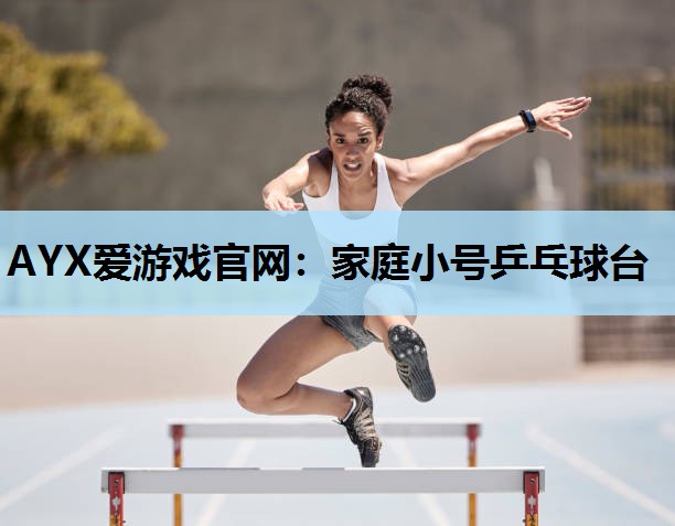 家庭小号乒乓球台 家庭小号乒乓球台