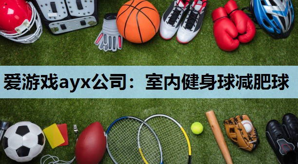 室内健身球减肥球 室内健身球减肥球