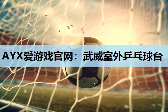 武威室外乒乓球台 武威室外乒乓球台