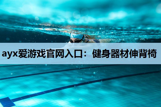 健身器材伸背椅 健身器材伸背椅