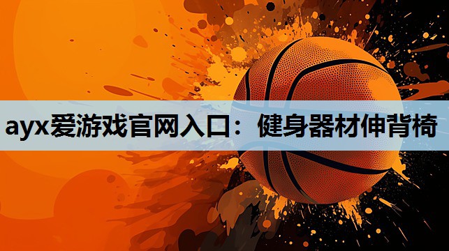 健身器材伸背椅 健身器材伸背椅