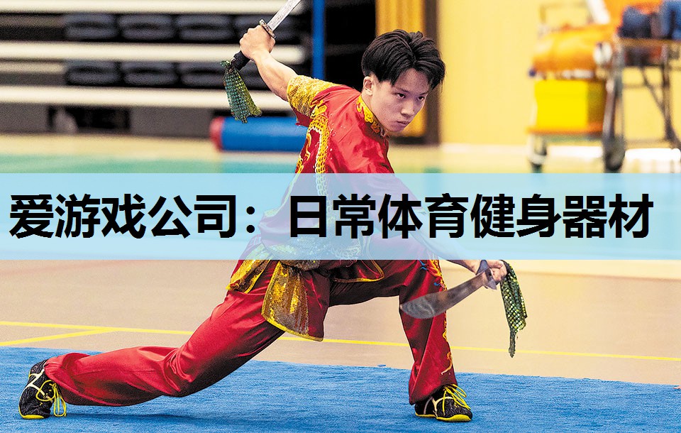 日常体育健身器材 日常体育健身器材