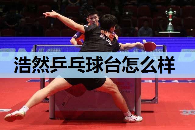 浩然乒乓球台怎么样 浩然乒乓球台怎么样