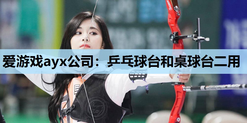 乒乓球台和桌球台二用 乒乓球台和桌球台二用