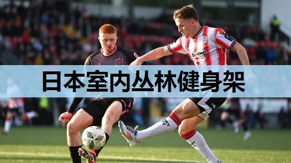 日本室内丛林健身架 日本室内丛林健身架