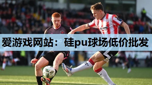 硅pu球场低价批发 硅pu球场低价批发