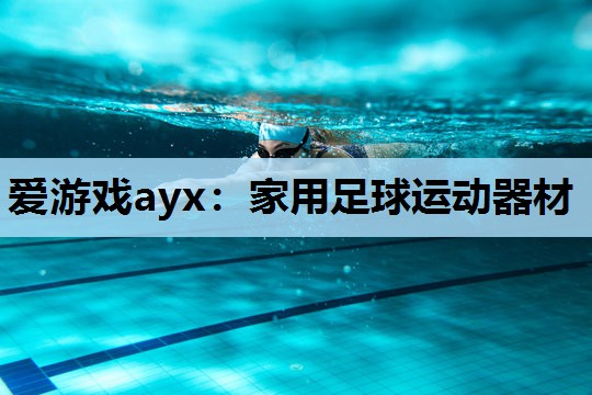 家用足球运动器材 家用足球运动器材