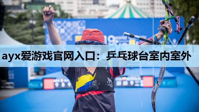 乒乓球台室内室外 乒乓球台室内室外