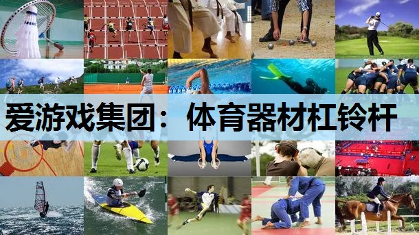 体育器材杠铃杆 体育器材杠铃杆