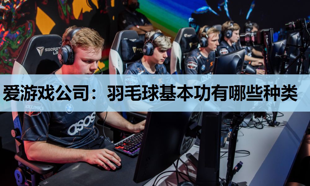 羽毛球基本功有哪些种类 羽毛球基本功有哪些种类