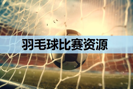 羽毛球比赛资源 羽毛球比赛资源