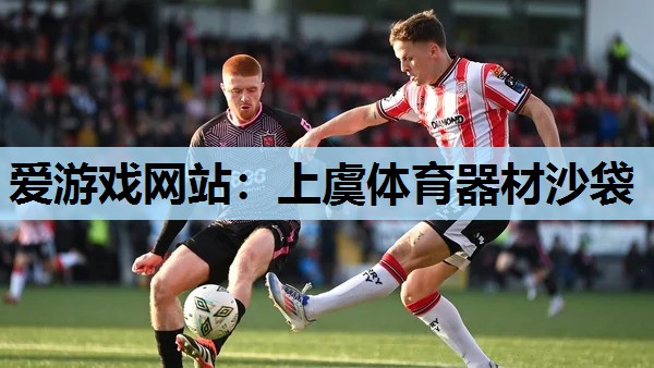 上虞体育器材沙袋 上虞体育器材沙袋