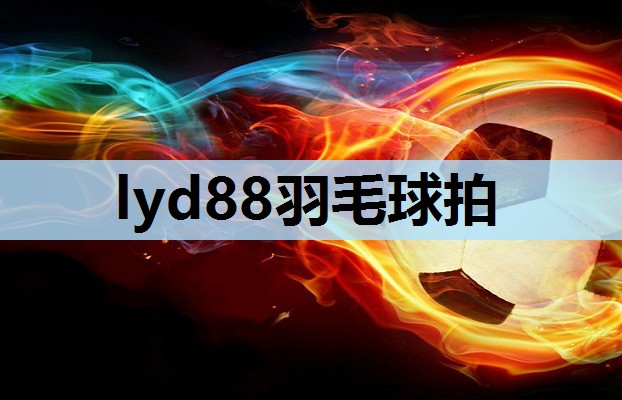 lyd88羽毛球拍 lyd88羽毛球拍