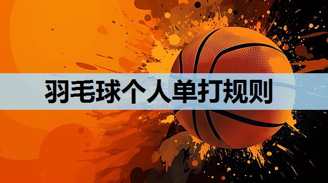 羽毛球个人单打规则 羽毛球个人单打规则