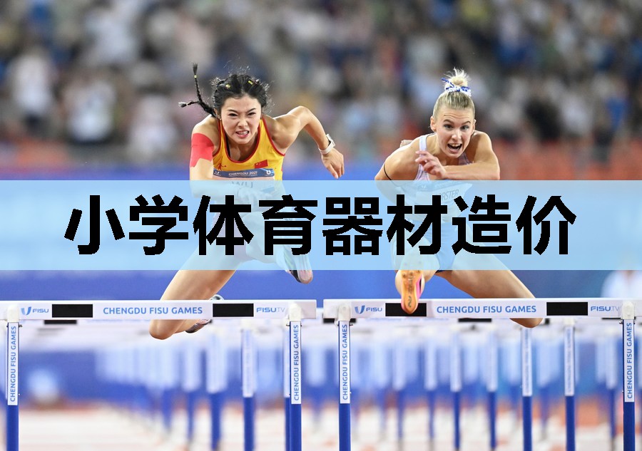小学体育器材造价 小学体育器材造价