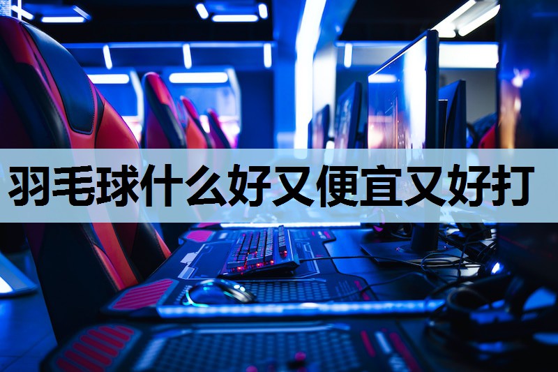 羽毛球什么好又便宜又好打 羽毛球什么好又便宜又好打