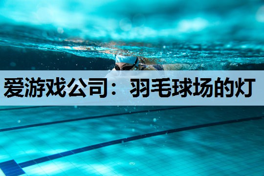 羽毛球场的灯 羽毛球场的灯