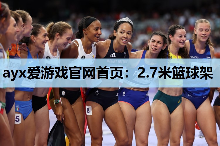 2.7米篮球架 2.7米篮球架