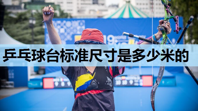 乒乓球台标准尺寸是多少米的 乒乓球台标准尺寸是多少米的