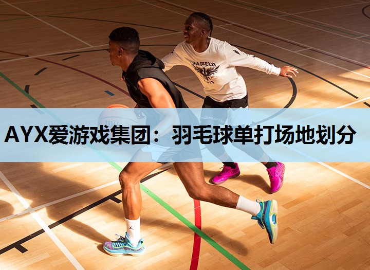 羽毛球单打场地划分 羽毛球单打场地划分