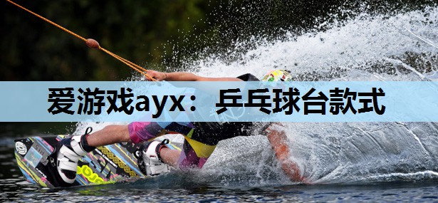 乒乓球台款式 乒乓球台款式