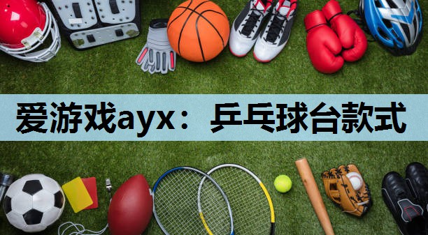 乒乓球台款式 乒乓球台款式
