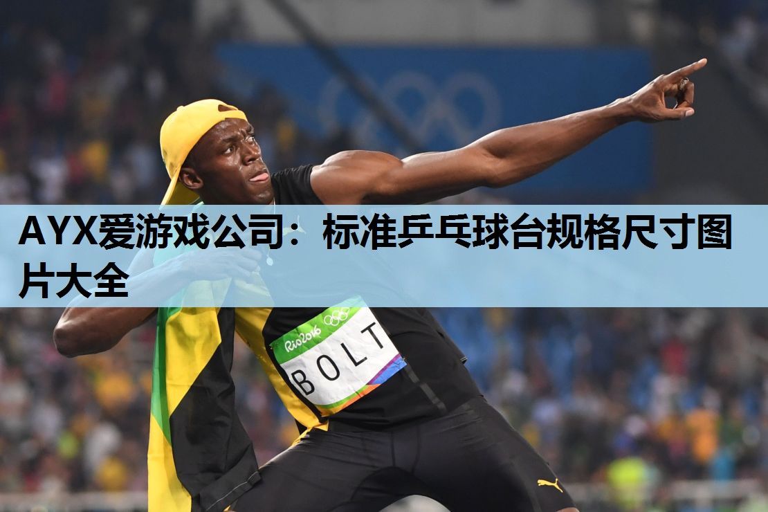 标准乒乓球台规格尺寸图片大全 标准乒乓球台规格尺寸图片大全