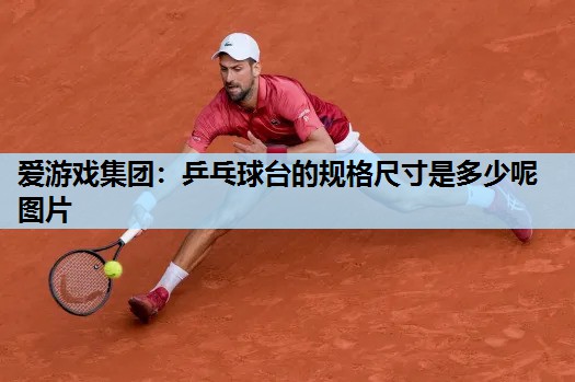 乒乓球台的规格尺寸是多少呢图片 乒乓球台的规格尺寸是多少呢图片