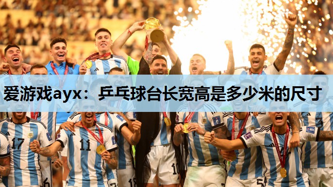 乒乓球台长宽高是多少米的尺寸 乒乓球台长宽高是多少米的尺寸