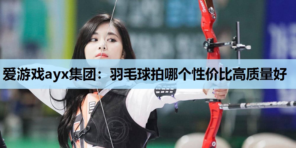 羽毛球拍哪个性价比高质量好 羽毛球拍哪个性价比高质量好