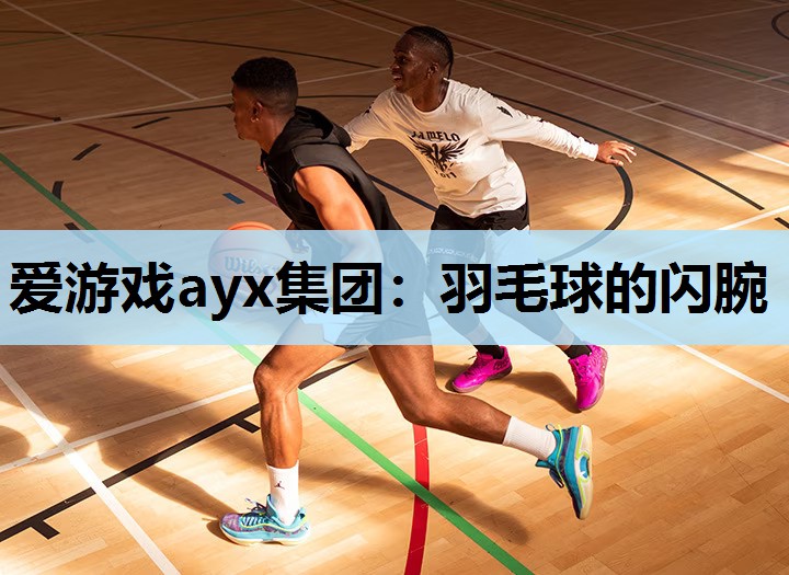 羽毛球的闪腕 羽毛球的闪腕