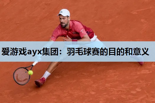 羽毛球赛的目的和意义 羽毛球赛的目的和意义
